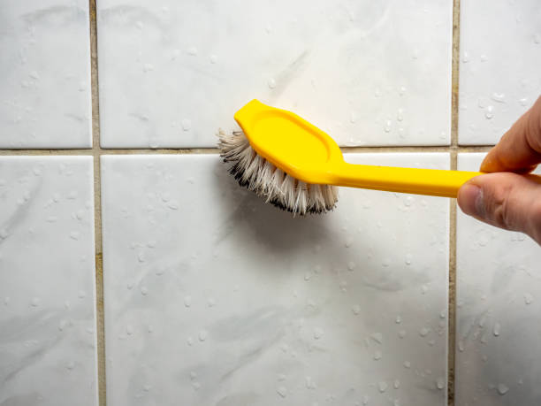 Professional Mold Removal in Grain Valley, MO