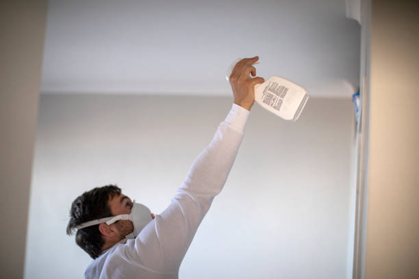 Best Mold Removal Near Me  in Grain Valley, MO