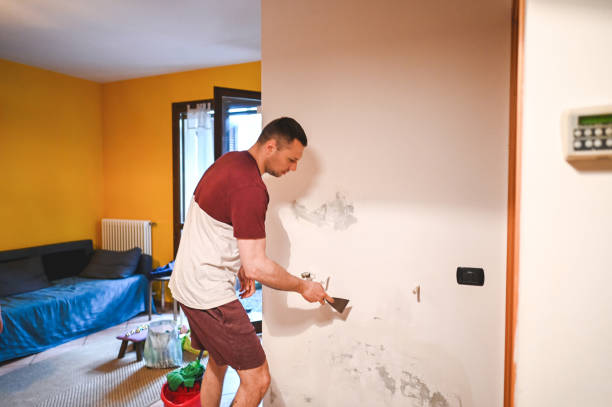 Office Mold Removal Services in Grain Valley, MO